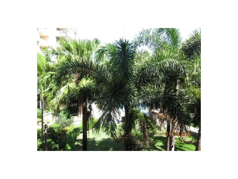 G46/41 Gotha Street, Fortitude Valley QLD 4006