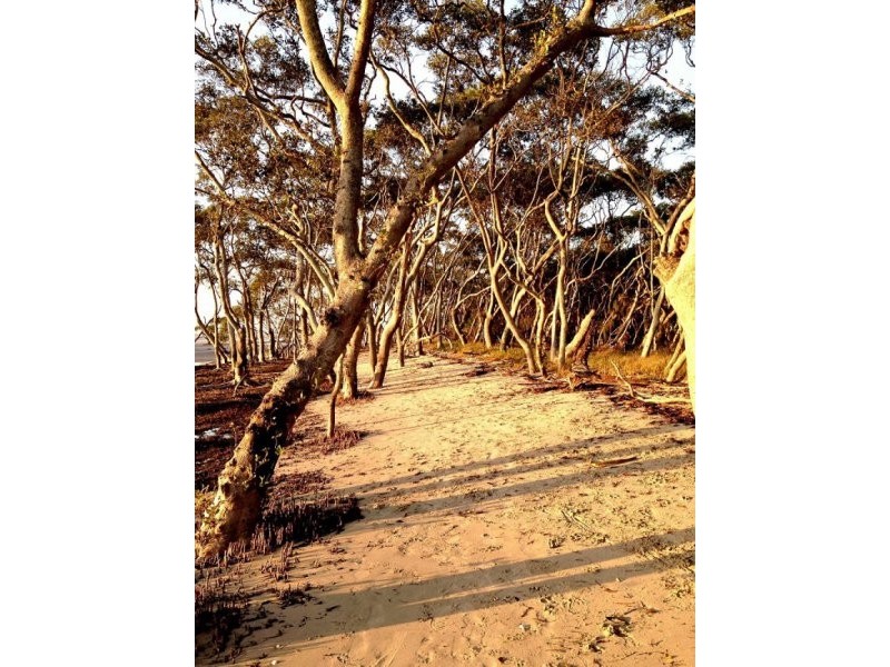 63 Biggs Ave, Beachmere QLD 4510