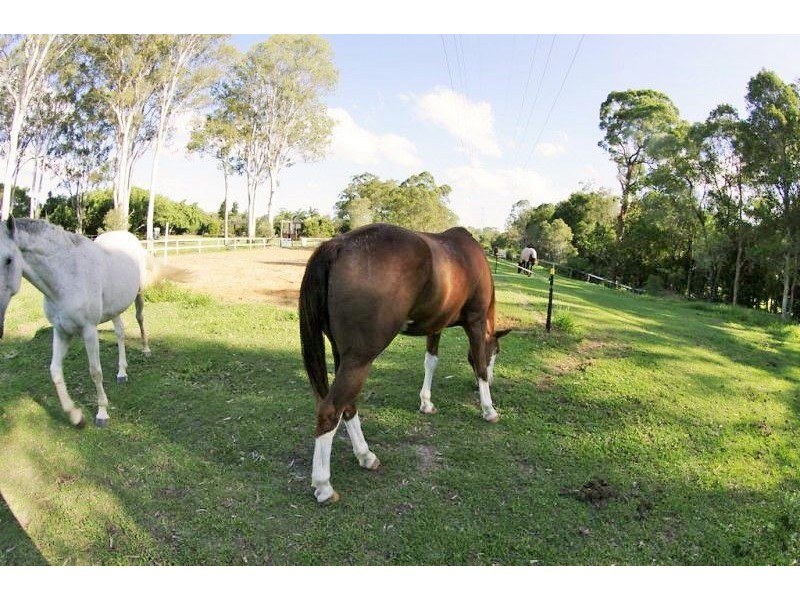 91 Tiverton Place, Bridgeman Downs QLD 4035