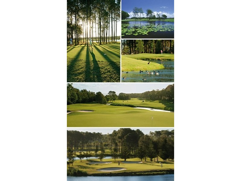 32 Rhodium Cr, Hope Island QLD 4212