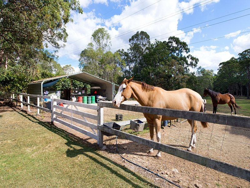 95 Tiverton Place, Bridgeman Downs QLD 4035