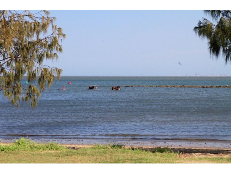 2/53 Ellen St, Woody Point QLD 4019