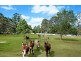 236 Mansfield Rd, Elimbah QLD 4516