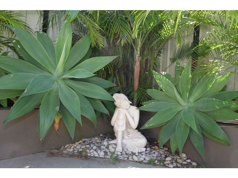 12 Grevillia Ct, Griffin QLD 4503