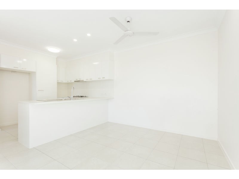 41 Nightshade Crescent, Pimpama QLD 4209