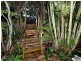 8 Forester Place, Kallangur QLD 4503