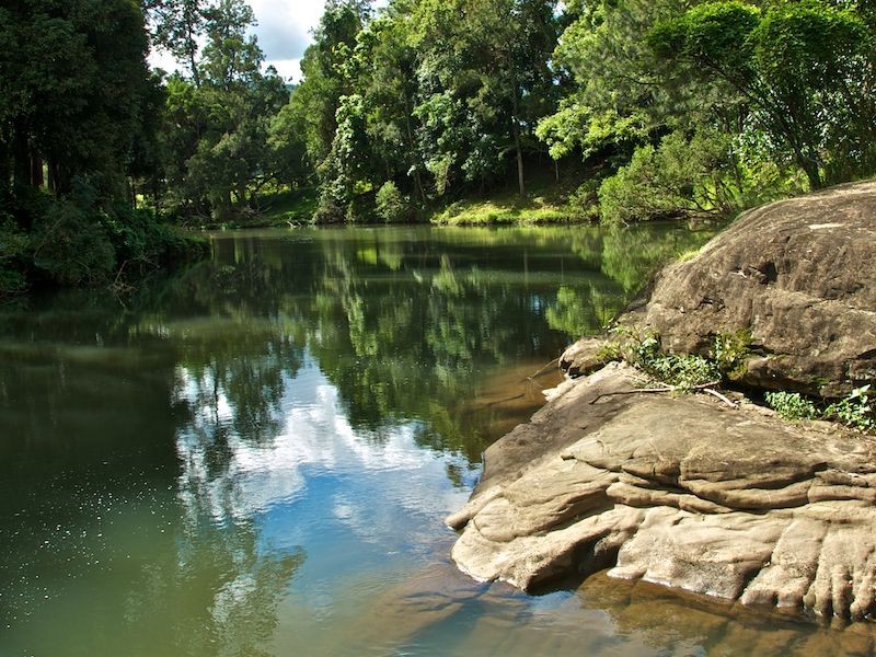 118 Lamington National Park Rd, Canungra QLD 4275