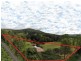 118 Lamington National Park Rd, Canungra QLD 4275