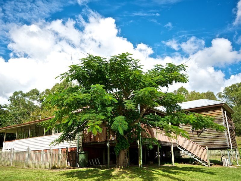118 Lamington National Park Rd, Canungra QLD 4275