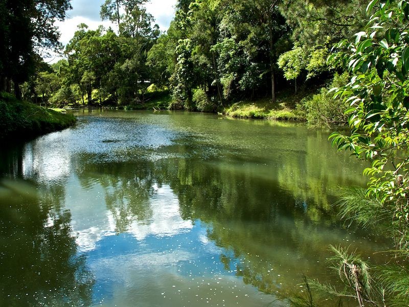 118 Lamington National Park Rd, Canungra QLD 4275