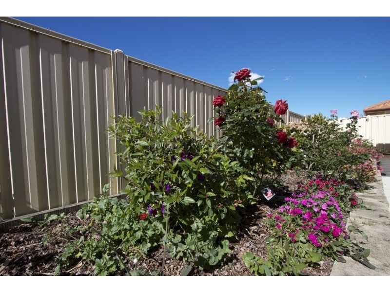 31/60 Endeavour Blvd, North Lakes QLD 4509