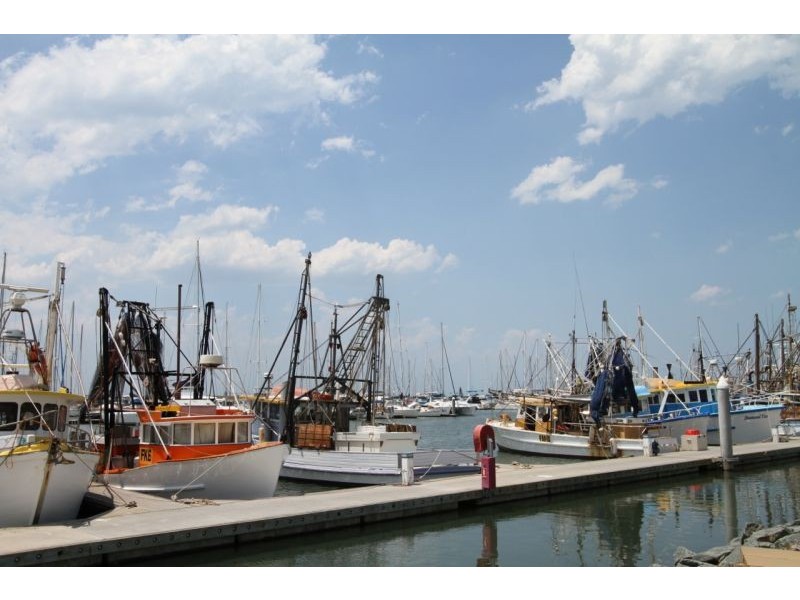 49 Palmtree Avenue, Scarborough QLD 4020