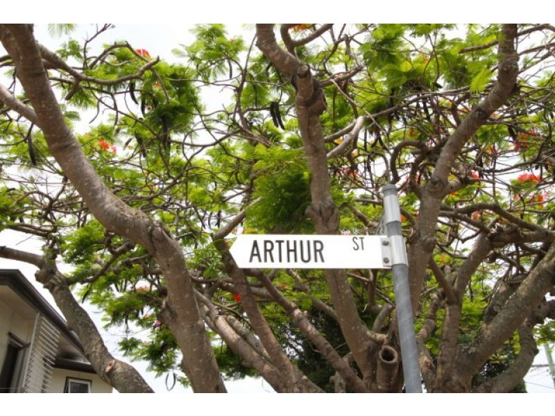 3 Arthur Street, Woody Point QLD 4019
