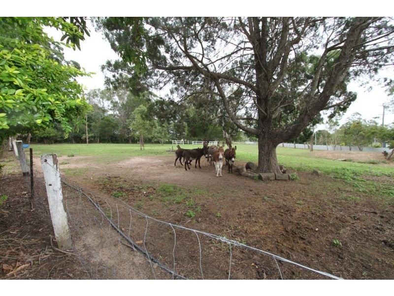 236 Mansfield Rd, Elimbah QLD 4516