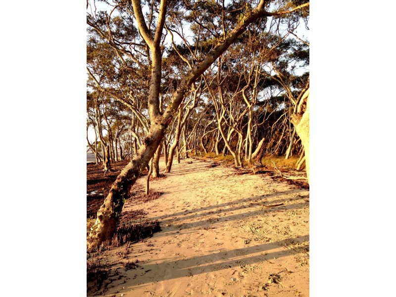 129 Biggs Avenue, Beachmere QLD 4510