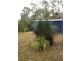 Lot 15 Coomba Waterhole Road, Maidenwell QLD 4615