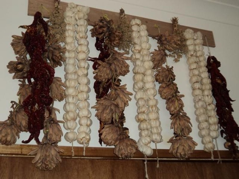 Elsternwick VIC 3185