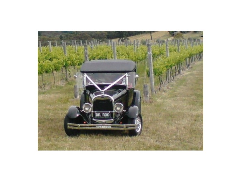 Ms 3250, Melbourne VIC 3000