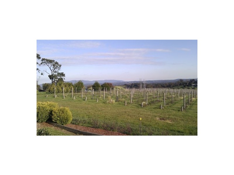 Ms 3250, Melbourne VIC 3000