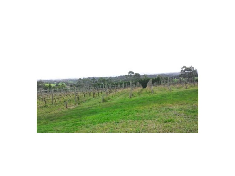 Ms 3250, Melbourne VIC 3000