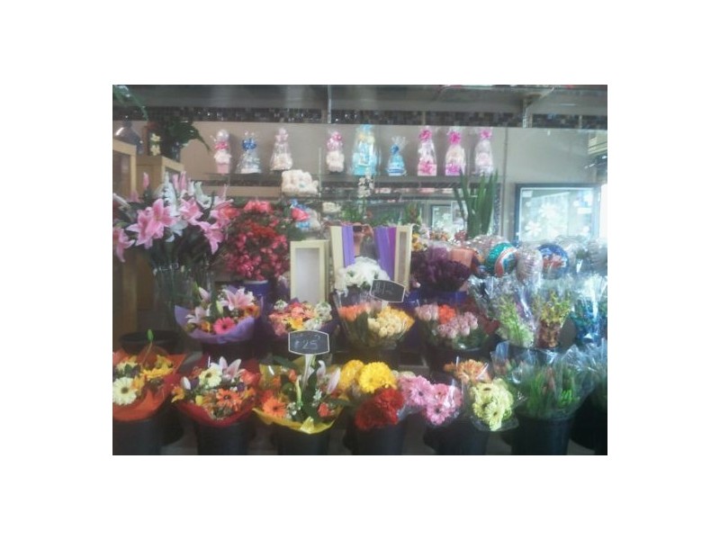 Collingwood VIC 3066