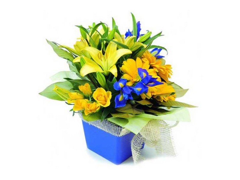 Collingwood VIC 3066