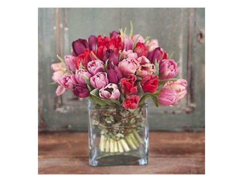 Collingwood VIC 3066