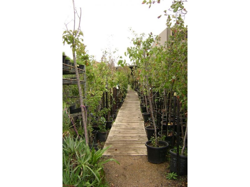 Hoppers Crossing VIC 3029