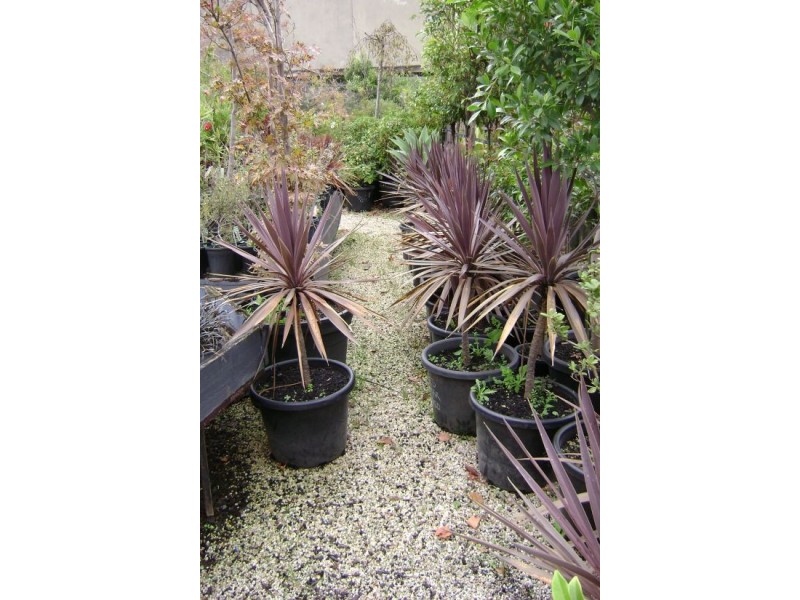 Hoppers Crossing VIC 3029