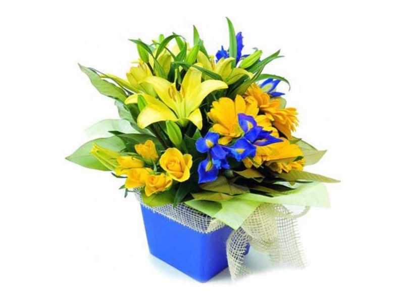 Port Melbourne VIC 3207