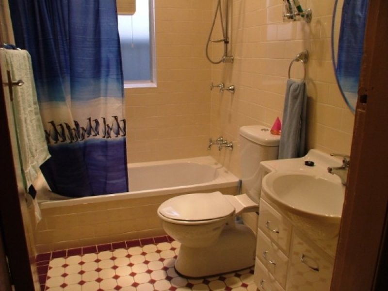 47 Milsop Street, Bexley NSW 2207