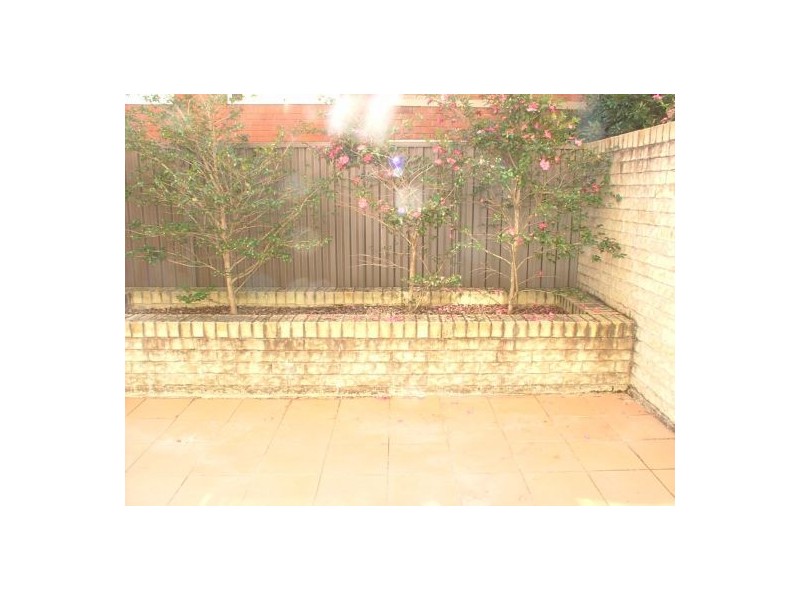 77 Noble Street, Allawah NSW 2218