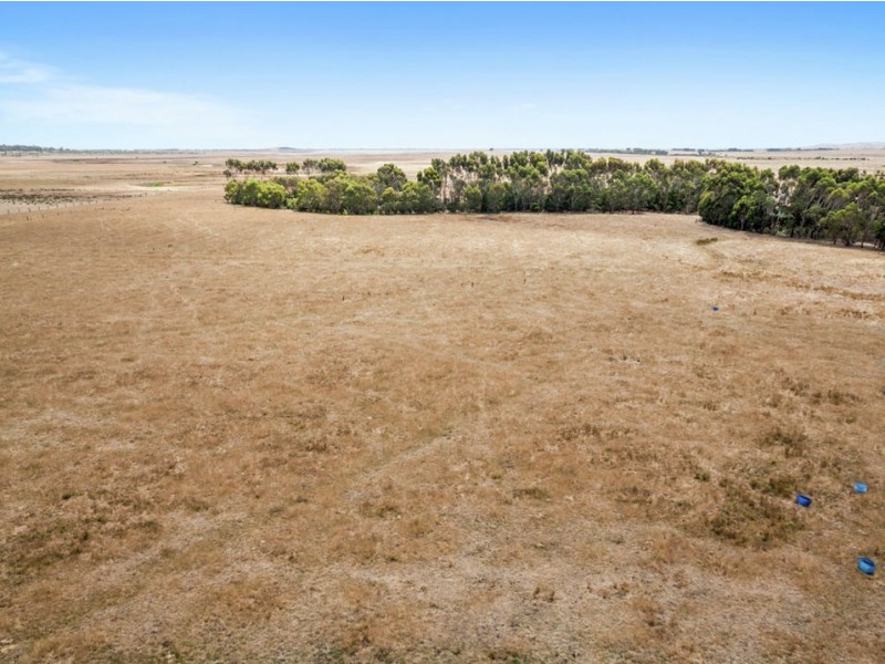 82 Ryans Road, Pirron Yallock VIC 3249