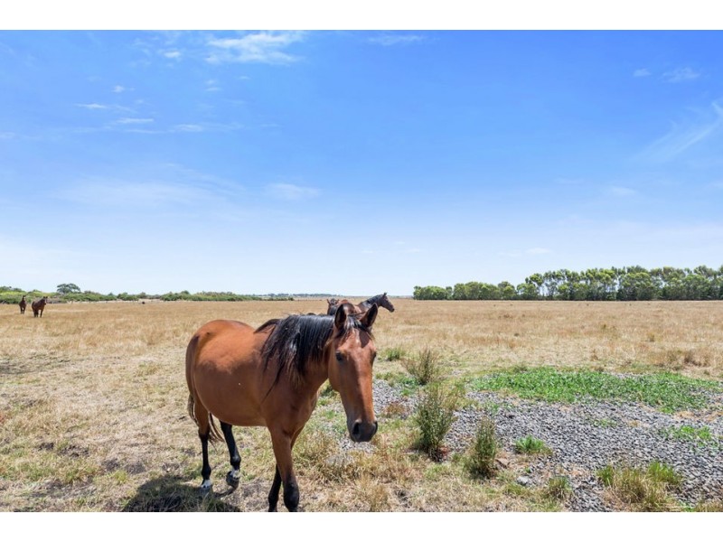 82 Ryans Road, Pirron Yallock VIC 3249