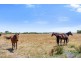 82 Ryans Road, Pirron Yallock VIC 3249