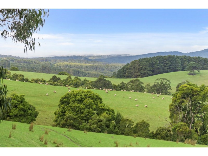 3935 Lot 3 Great Ocean Road, Johanna VIC 3238