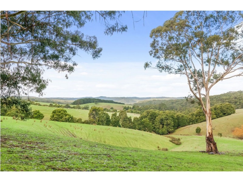 3935 Lot 3 Great Ocean Road, Johanna VIC 3238