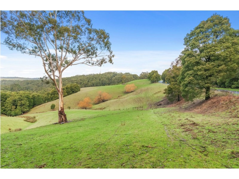 3935 Lot 3 Great Ocean Road, Johanna VIC 3238