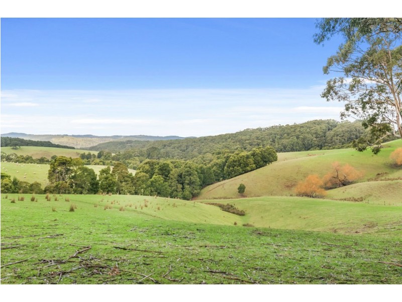 3935 Lot 3 Great Ocean Road, Johanna VIC 3238