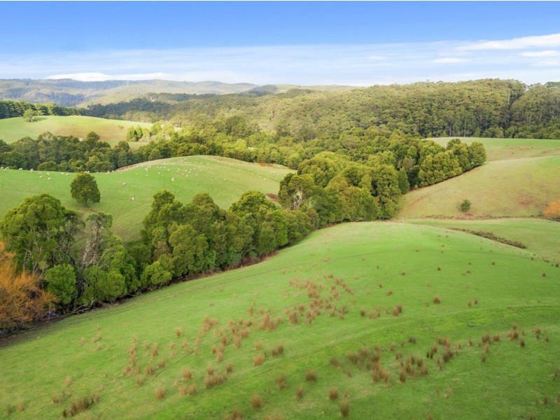 3935 Lot 3 Great Ocean Road, Johanna VIC 3238