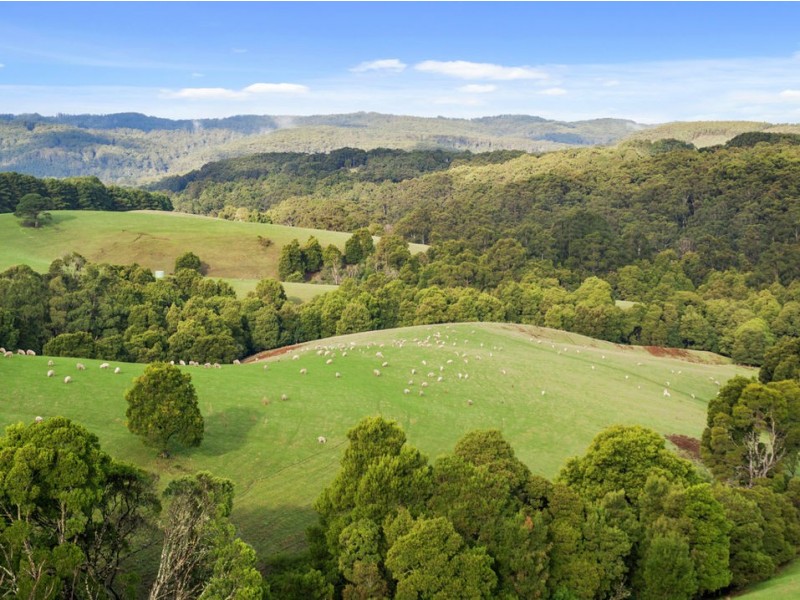 3935 Lot 3 Great Ocean Road, Johanna VIC 3238
