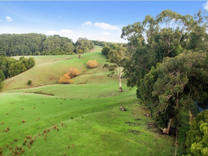 3935 Lot 3 Great Ocean Road, Johanna VIC 3238
