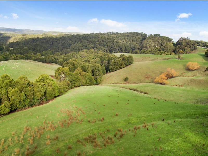 3935 Lot 3 Great Ocean Road, Johanna VIC 3238