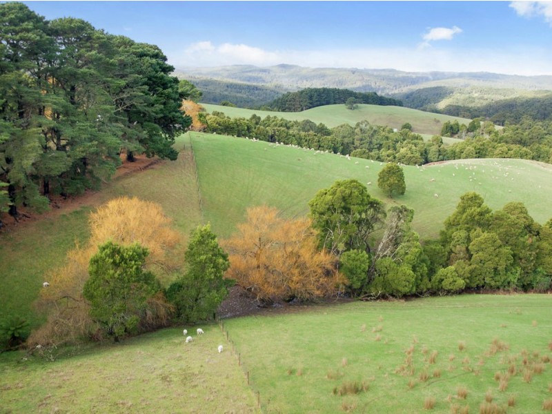 3935 Lot 3 Great Ocean Road, Johanna VIC 3238