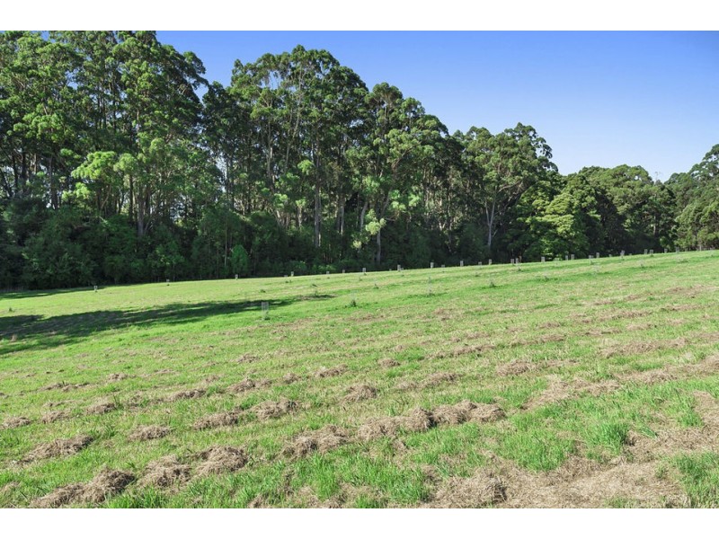 5030 Colac-Lavers Hill Road, Lavers Hill VIC 3238