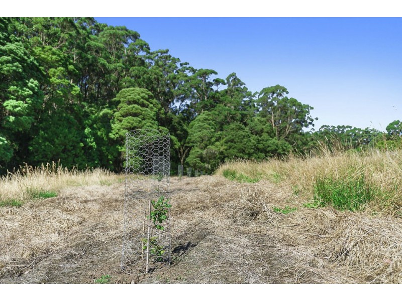 5030 Colac-Lavers Hill Road, Lavers Hill VIC 3238