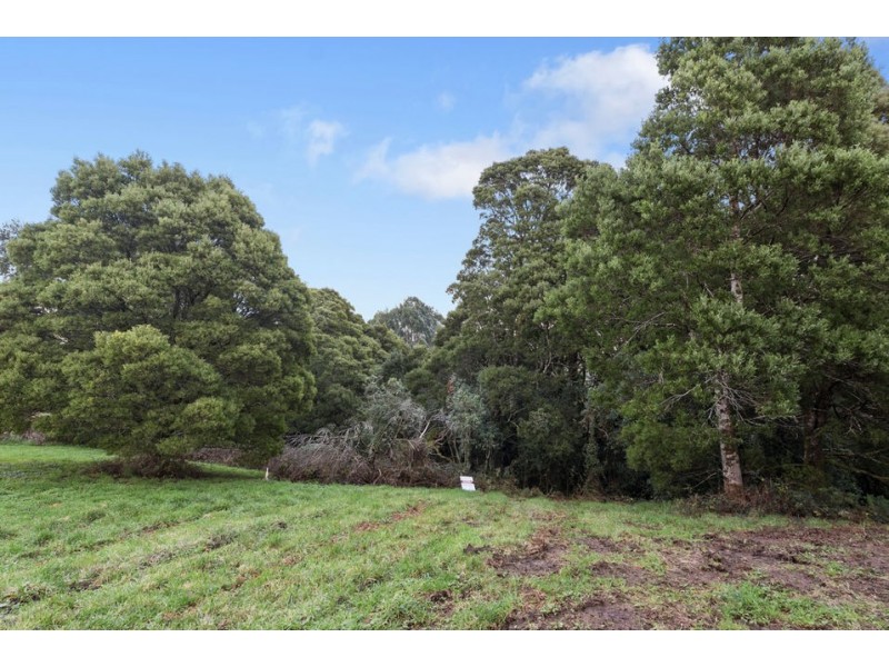 18 Dehnerts Track, Beech Forest VIC 3237