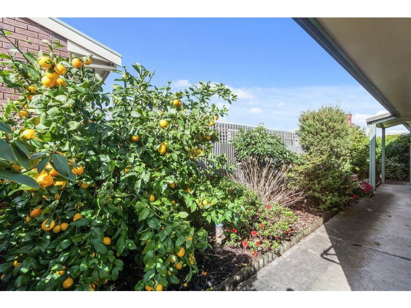 3/47 Skene Street, Colac VIC 3250