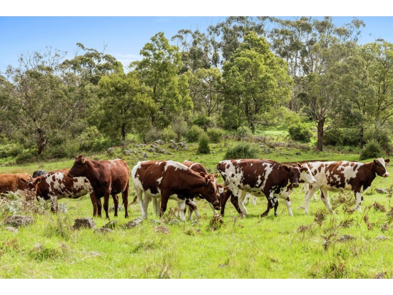 2040 Princes Hwy, Pirron Yallock VIC 3249