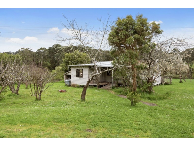 1720 Colac-Lavers Hill Road, Kawarren VIC 3249